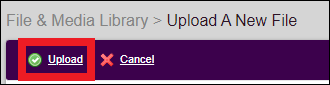 File_Tab_to_Upload_a_New_File_Button_in_NavBar_Feb2023.png
